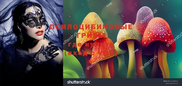 spice Алексеевка