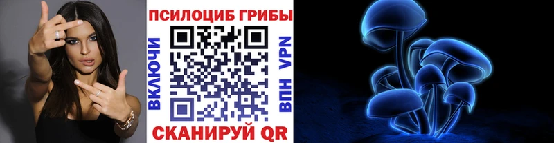 цена наркотик  Галич  Псилоцибиновые грибы мицелий 