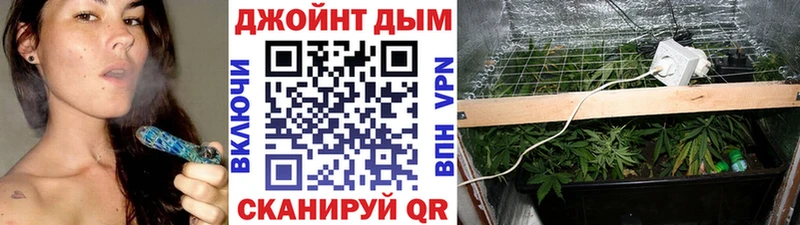 где купить наркоту  Галич  Канабис индика 